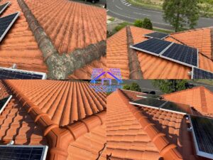 Roof Cleaning Brisbane | Tile Roof Washing